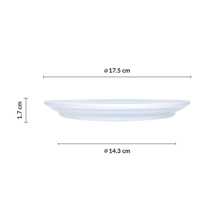 Plato Coupe 17.5 cm Actualite