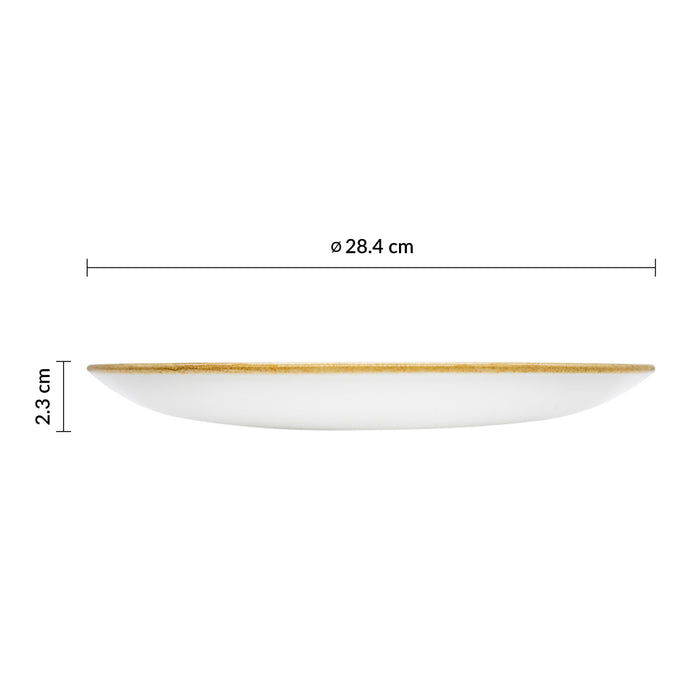 Plato Coupe 28.4 cm Peppercorn Grey Stonecast